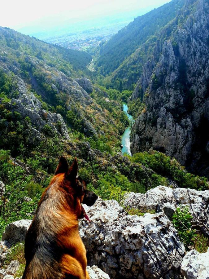 Apartman Studio Zdravko Eco Village Imotski Extérieur photo